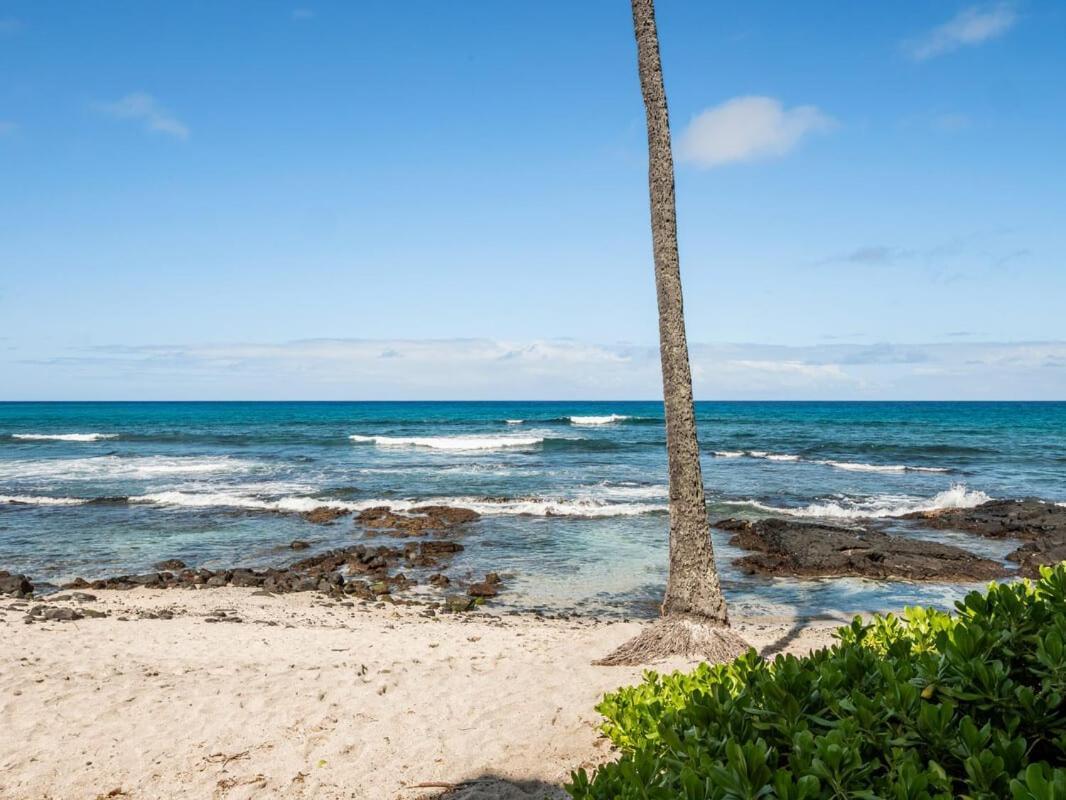 Oceanfront 1 Bedroom 2 Bathroom With Large Lanai - Kona Bali Kai 218 Kailua-Kona Kültér fotó